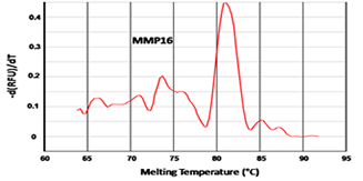 Competitor A MMP16 Melting Curve