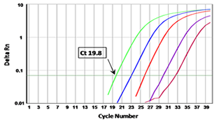 CompetitorA RPL13A Amplification Curve